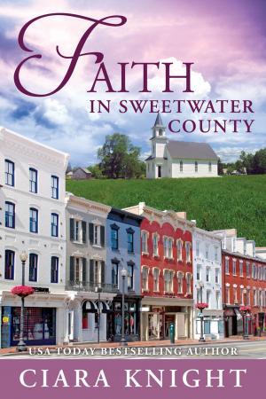Cover of the book Faith in Sweetwater County by Doris E. Davis