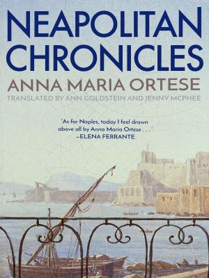 Cover of the book Neapolitan Chronicles by Martin Suter