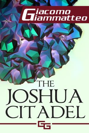 Cover of The Joshua Citadel, The Last Battle