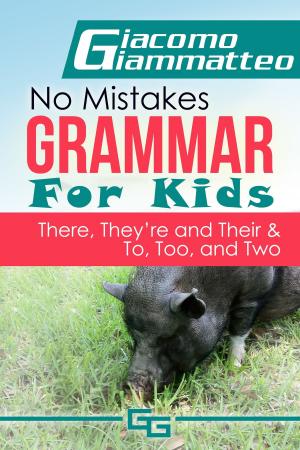 Cover of the book No Mistakes Grammar for Kids, Volume V, "There, They're, Their," and "To, Too, and Two"  by Giacomo Giammatteo