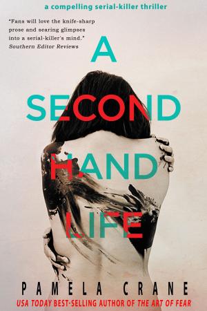 Cover of the book A Secondhand Life by Roderick Benns