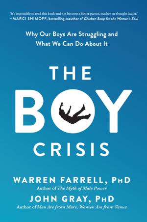 Cover of the book The Boy Crisis by Tim Irwin