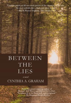 Cover of the book Between the Lies by Cynthia A.  Graham