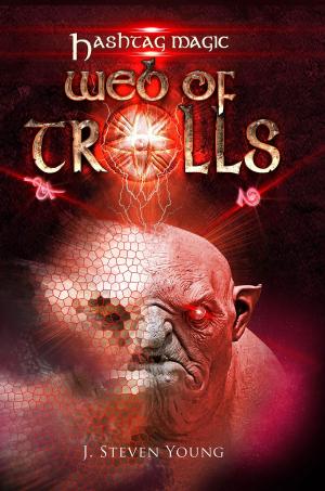 Cover of the book Web of Trolls by Stella Demaris