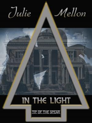 Cover of the book In the Light by Rebecca Sherwin