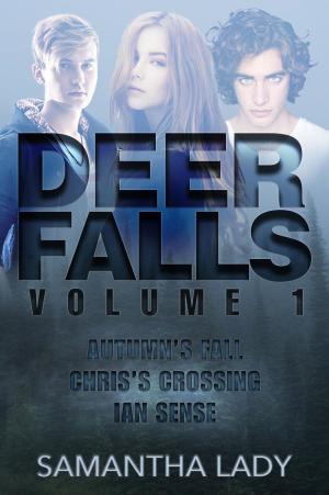Cover of the book Deer Falls by Jameela Roshanara
