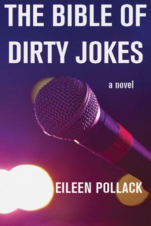 Book cover of The Bible of Dirty Jokes