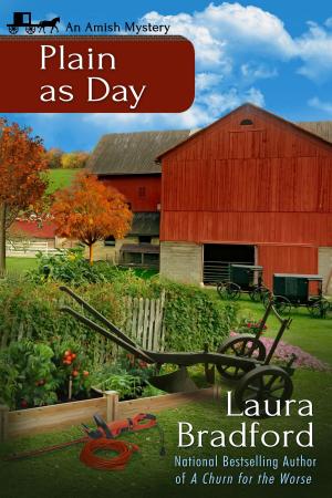 Cover of the book Plain as Day by Cate Lawley