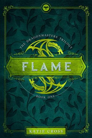 Cover of the book Flame by K.M. Robinson