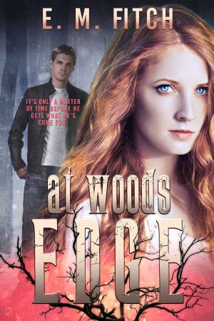 Cover of the book At Woods Edge by Lauren Baratz-Logsted
