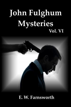 Cover of John Fulghum Mysteries, Vol. VI