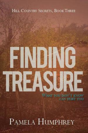 Book cover of Finding Treasure