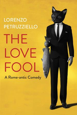 Cover of the book The Love Fool by Stephen Carignan