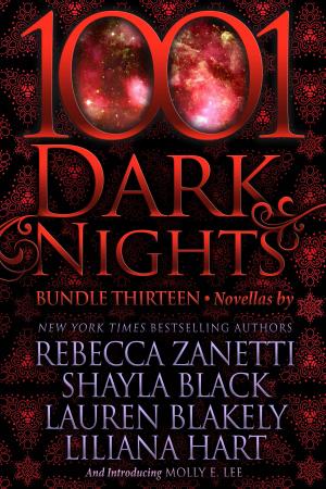 Book cover of 1001 Dark Nights: Bundle Thirteen