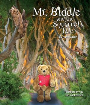 Cover of the book Mr. Biddle and the Squirrel's Tale by Richard Blade