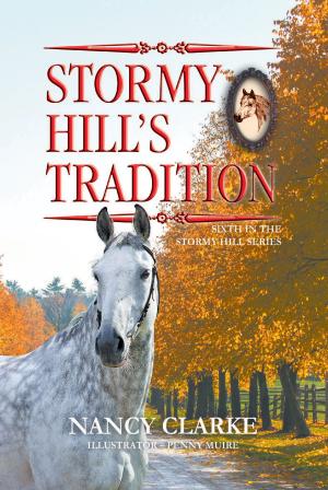 Cover of the book Stormy Hill’s Tradition by Peter Wood Cotterill