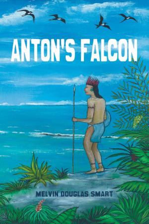 Book cover of Anton's Falcon
