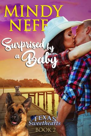 Cover of the book Surprised by a Baby by Mindy Neff