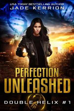 Cover of the book Perfection Unleashed by Jeffrey Allen Davis
