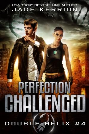 Cover of the book Perfection Challenged by Daniel Tobias Lewis-dayle