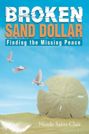 Cover of the book Broken Sand Dollar by N.J. Matthews