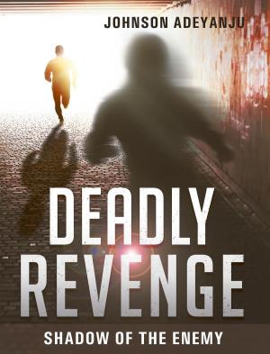 Cover of the book Deadly Revenge by Joan Hunter, Steven Cobos