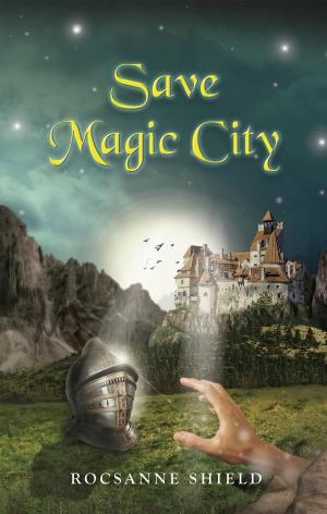 Cover of the book Save Magic City by F. Aster Barnwell