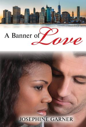 Cover of the book A Banner of Love by Jeffrey Bernhardt