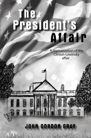 Cover of the book The President's Affair by Maudie B. Dussault