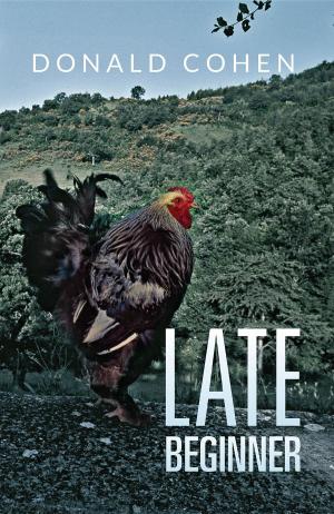 Cover of the book Late Beginner by Abdul Sami