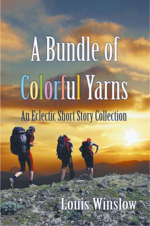 Cover of the book A Bundle of Colorful Yarns by Karen Chertok