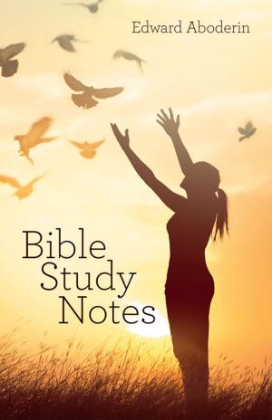 Cover of the book Bible Study Notes by David Matthew Strauss