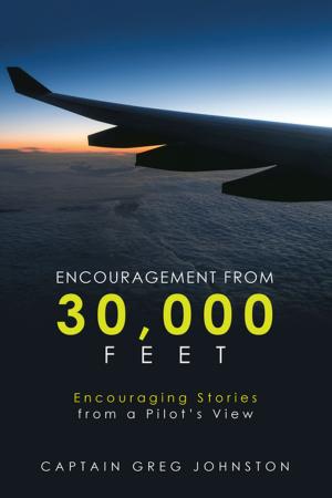 Cover of the book Encouragement from 30,000 Feet by William E. Dodson