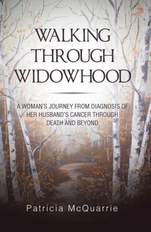 Cover of the book Walking Through Widowhood by Belinda Shek-lai Yung