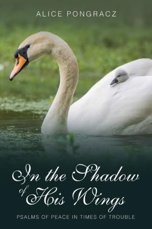 Cover of the book In the Shadow of His Wings by Rochelle Frazier