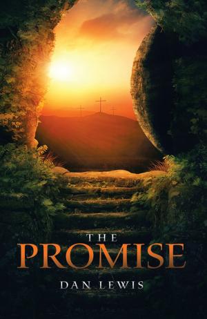 Cover of the book The Promise by Dane Davis