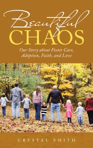 Cover of the book Beautiful Chaos by April Hall