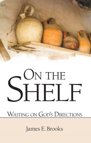 Cover of the book On the Shelf by Qené Manon Jeffers