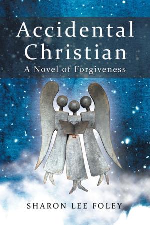Book cover of Accidental Christian