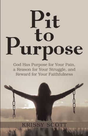 Cover of the book Pit to Purpose by Cecile Long