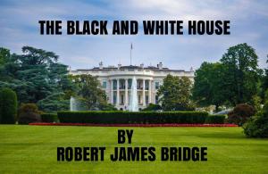 Book cover of The Black and White House