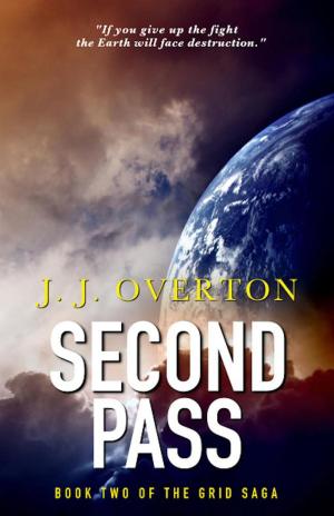 Cover of the book Second Pass by Tyler Stalkie