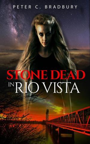 Cover of the book Stone Dead in Rio Vista by Amber Foxx