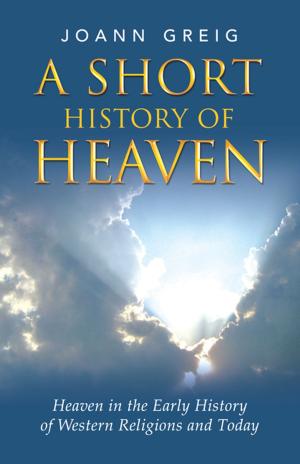 Cover of the book A Short History of Heaven by Kara B. Schmidt M.A. R.N.