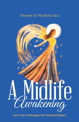Cover of the book A Midlife Awakening by Arian A. Sarris LMFT