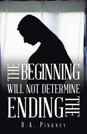 Cover of the book The Beginning Will Not Determine the Ending by Willow N. Groskreutz Groskreutz