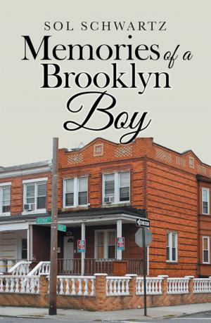 Cover of the book Memories of a Brooklyn Boy by Alan Salop Scott