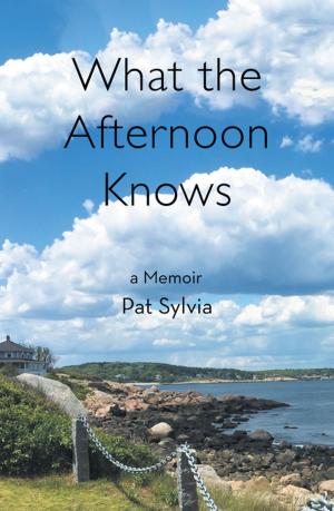 Cover of the book What the Afternoon Knows by L. J. Underdue