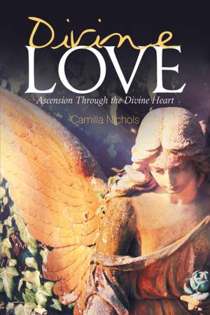 Cover of the book Divine Love by James Krieger D.D.