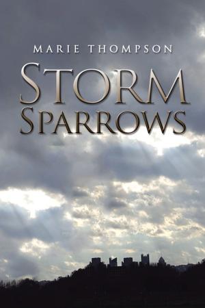 bigCover of the book Storm Sparrows by 